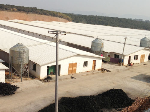 標(biāo)準(zhǔn)化雞場(chǎng) (1)