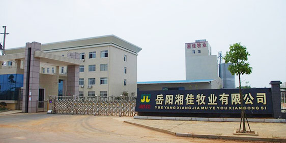 岳陽湘佳牧業(yè)有限公司-岳陽活雞品種|